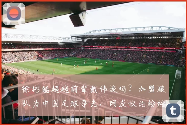 徐彬能超越前辈戴伟浚吗？加盟狼队为中国足球争光，网友议论纷纷