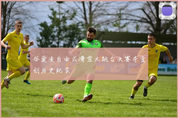 谷爱凌自由式滑雪大跳台决赛夺金创历史纪录